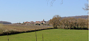 Futur site d'implantation de la déchetterie à Saules C