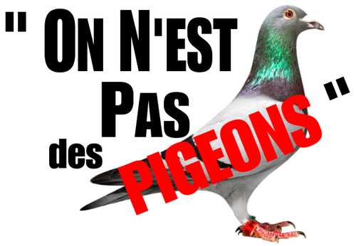 On n'est pas des pigeons