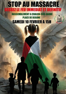 rassemblement cessez-le-feu Gaza